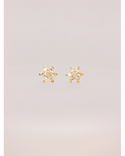 <P>Pendientes de oro amarillo de 18kts en forma de estrella con circonitas blancas.</P>
<P>Cierre de presión.</P>
<P>Medida : 
