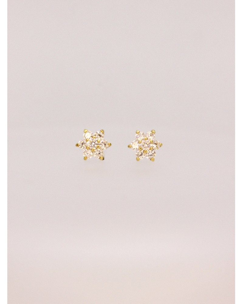 <P>Pendientes de oro amarillo de 18kts en forma de estrella con circonitas blancas.</P>
<P>Cierre de presión.</P>
<P>Medida : 