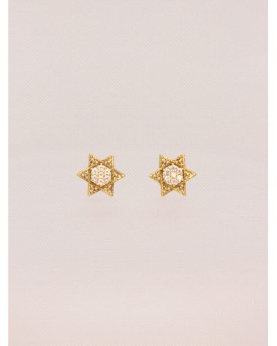 <P>Pendienetes en forma de estrella&nbsp;de oro de 18 kts con circonitas blancas.</P>
<P>Cierre de presión.</P>
<P>Medida: 8mm
