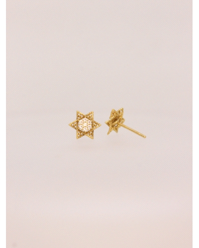 <P>Pendienetes en forma de estrella&nbsp;de oro de 18 kts con circonitas blancas.</P>
<P>Cierre de presión.</P>
<P>Medida: 8mm