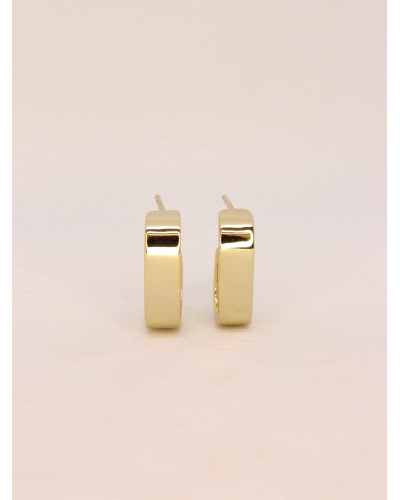 <P>Pendientes de plata de primera ley (925) con baño de oro amarillo.<BR>Cierre de presión.<BR>Medida: 19,5 mm largo y 5,5 mm an