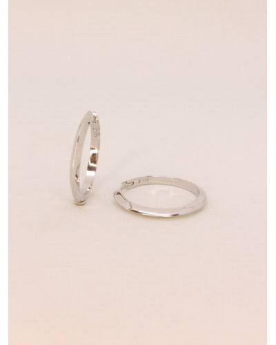 Pendientes de plata de primera ley (925)

Medida: 25 mm diametro exterior.